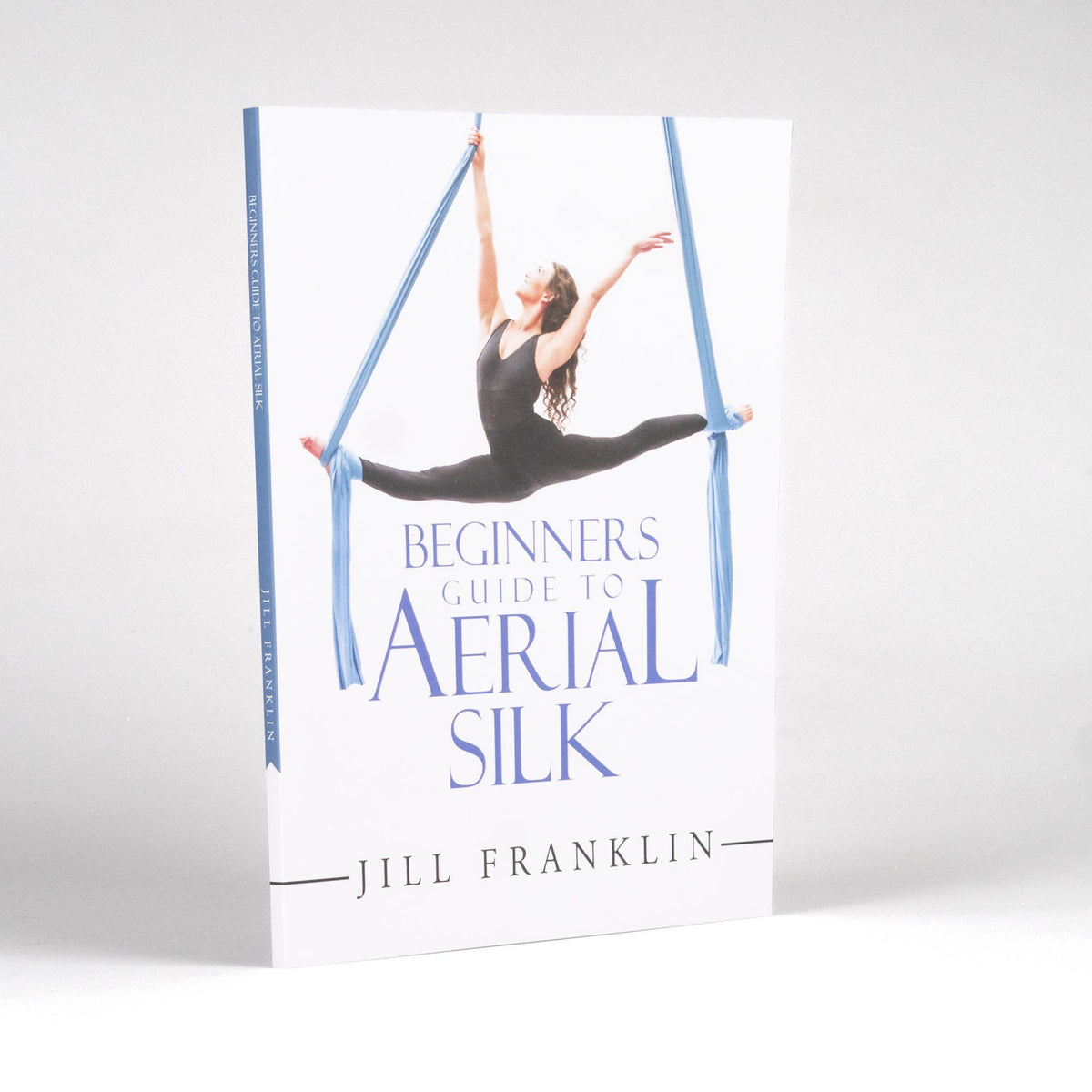 Beginner's Guide cover and spine