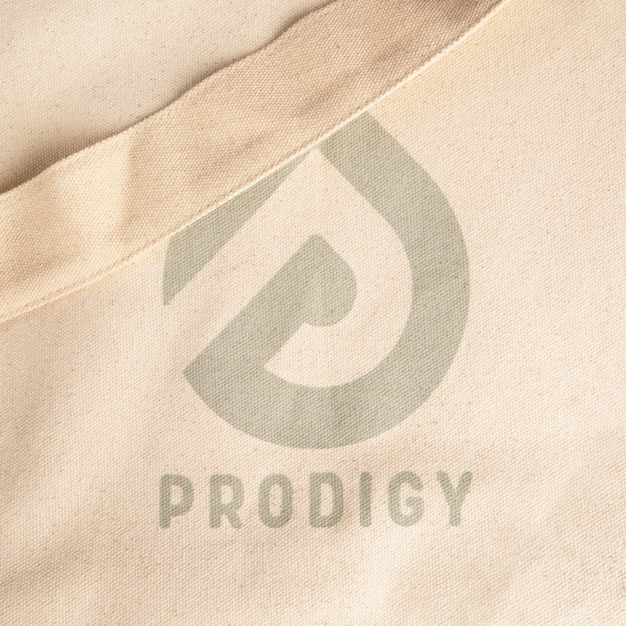 Prodigy eco aerial bag logo