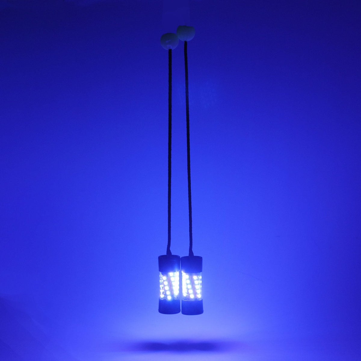 TriX 3.0 hanging and glowing blue, the light is bright and illuminating the surroundings.