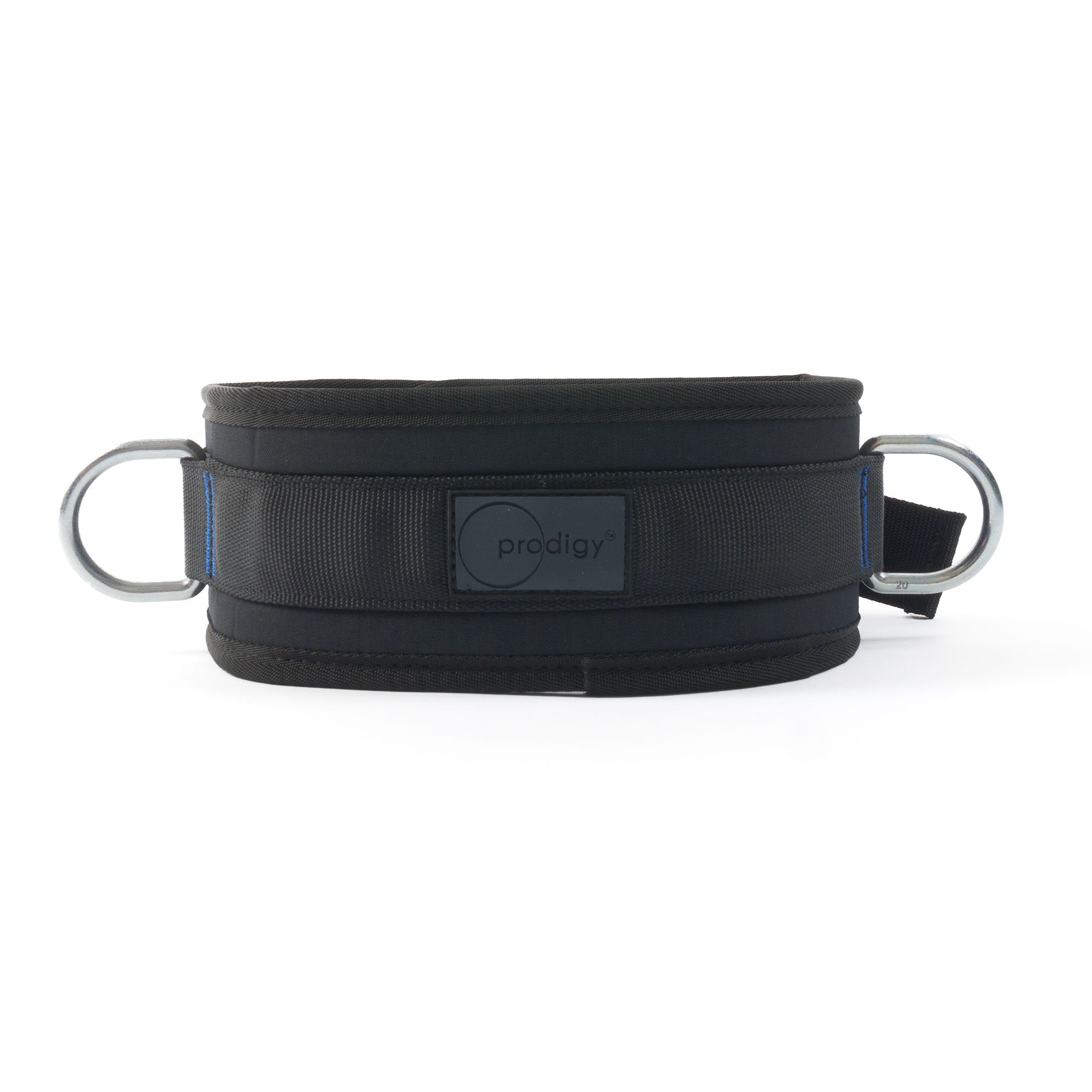 lunge belt front