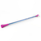 Pink and blue allium wand on white background