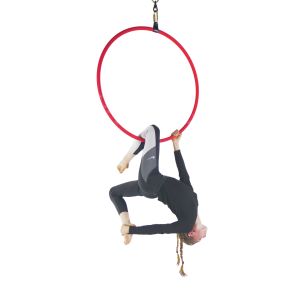 1 point youth size aerial hoop with performer